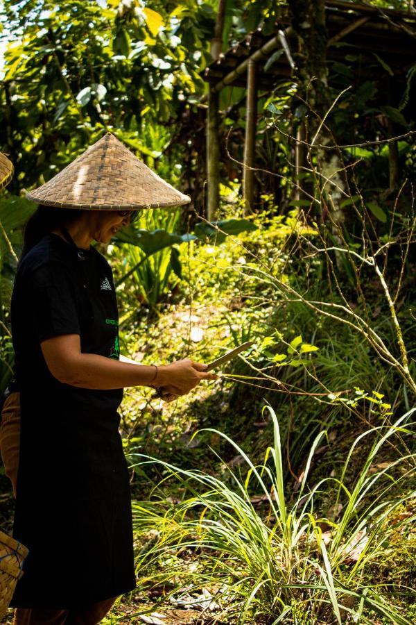 Kebun Kita Eco Lodge Padangan  Bagian luar foto