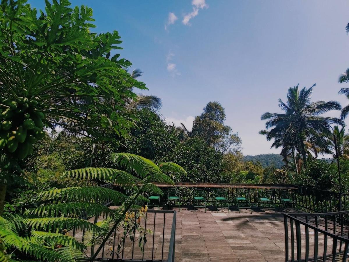 Kebun Kita Eco Lodge Padangan  Bagian luar foto
