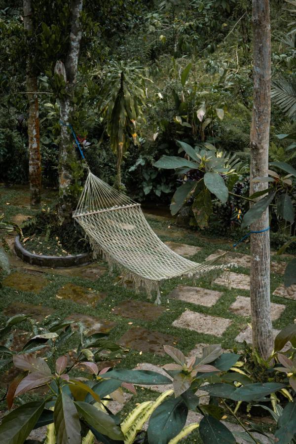 Kebun Kita Eco Lodge Padangan  Bagian luar foto