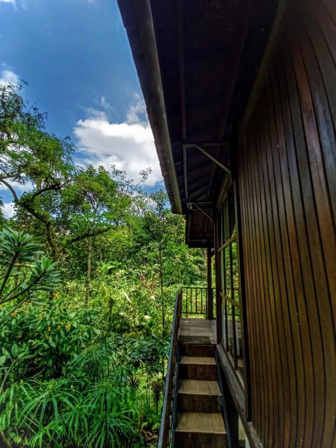 Kebun Kita Eco Lodge Padangan  Bagian luar foto