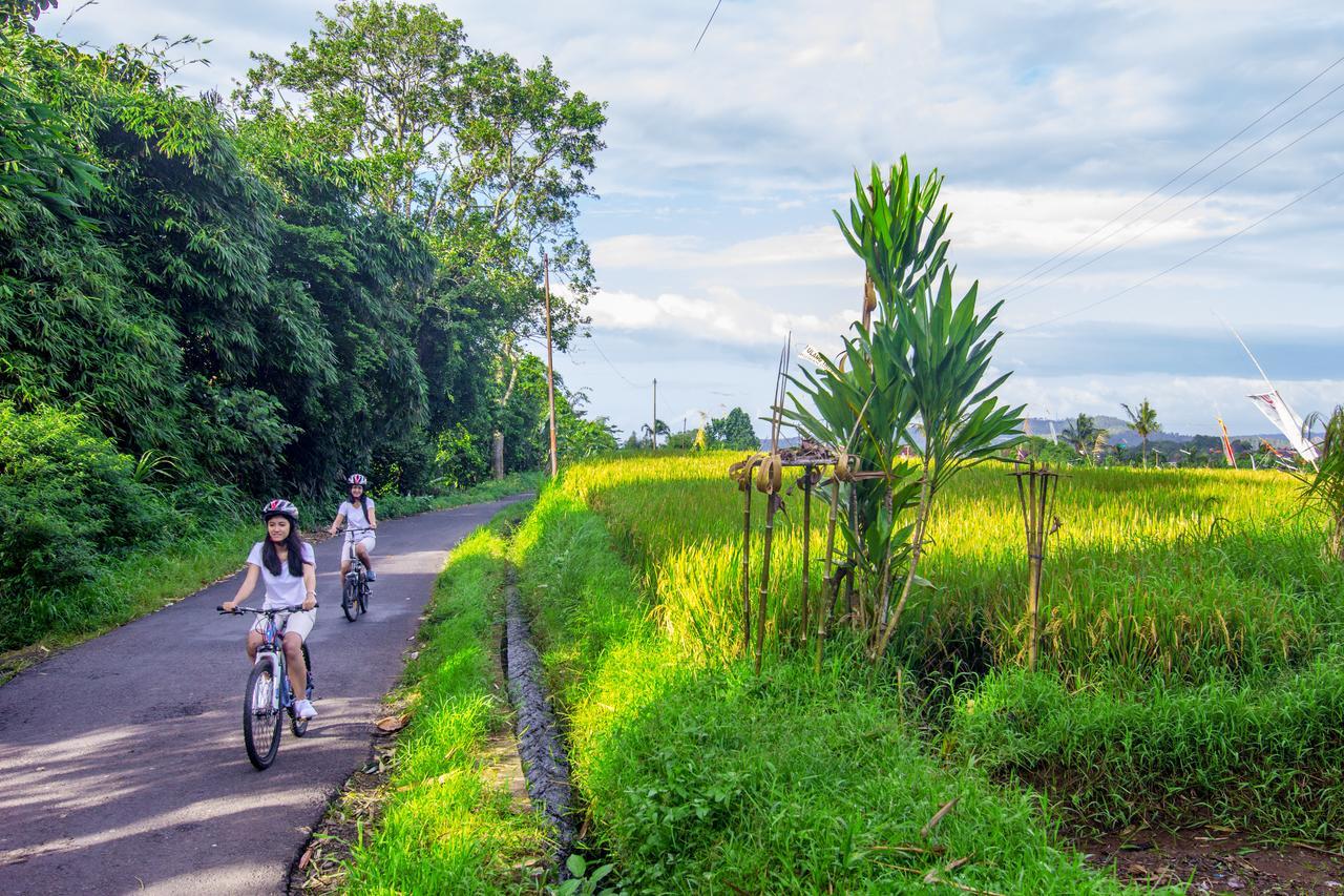 Kebun Kita Eco Lodge Padangan  Bagian luar foto