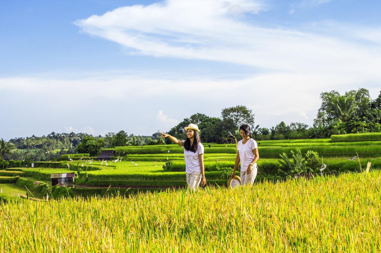 Kebun Kita Eco Lodge Padangan  Bagian luar foto